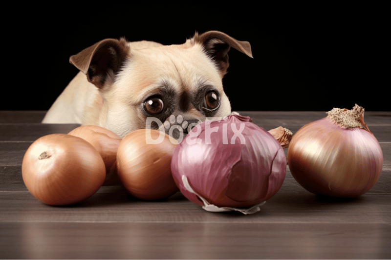 What should I do if my dog consumes onion