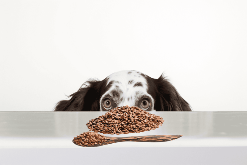Whole flax seeds