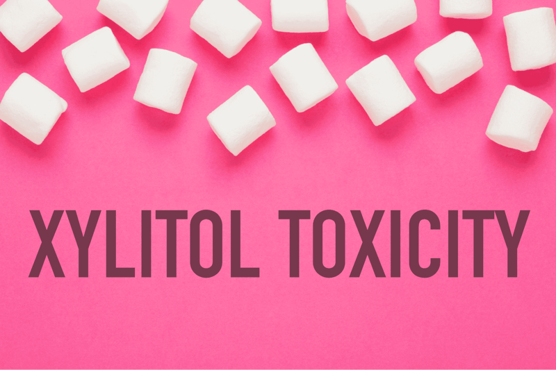 Xylitol Toxicity