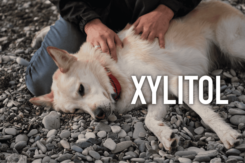 Xylitol