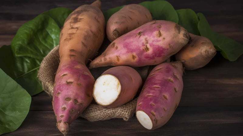 Fresh raw sweet potatoes with leaves, healthy dog treat ingredients.