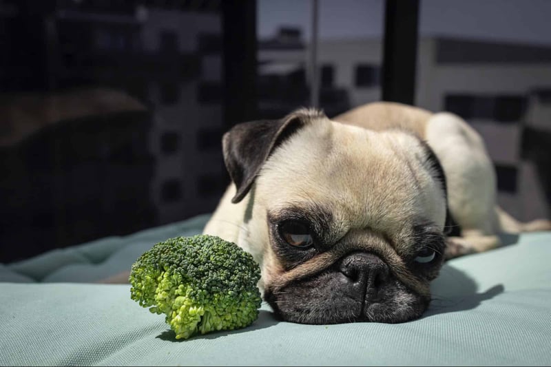 broccoli