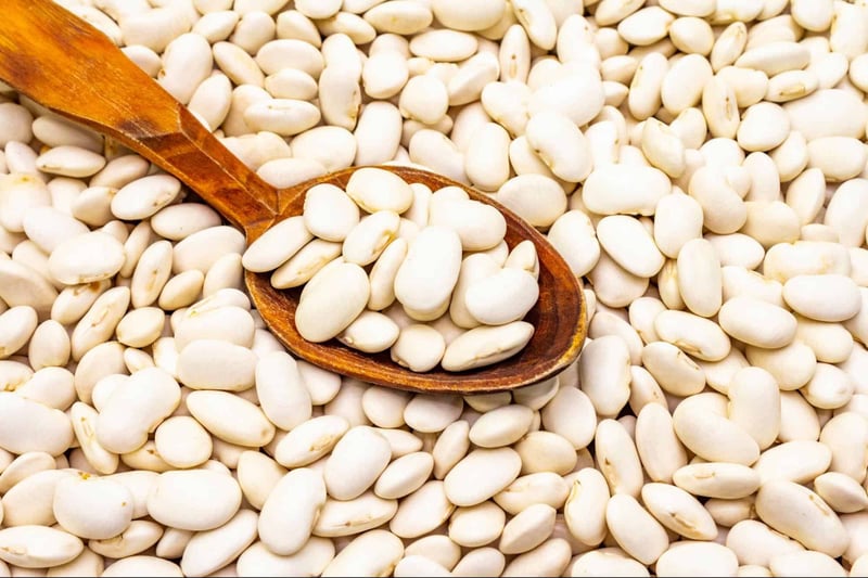 Fresh white beans on a background, nutritious ingredient for dog meals.