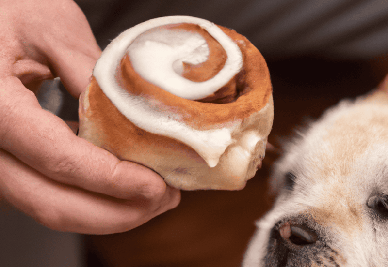 Dog cinnamon roll treat with cream cheese frosting, adorable pet snack for dogs.
