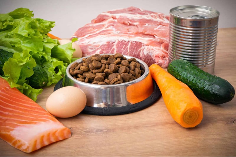 Healthy dog food with raw meats, vegetables, and supplements for optimal pet wellness and nutrition.