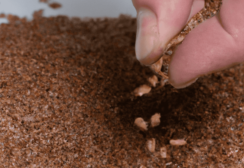 ground flax seeds