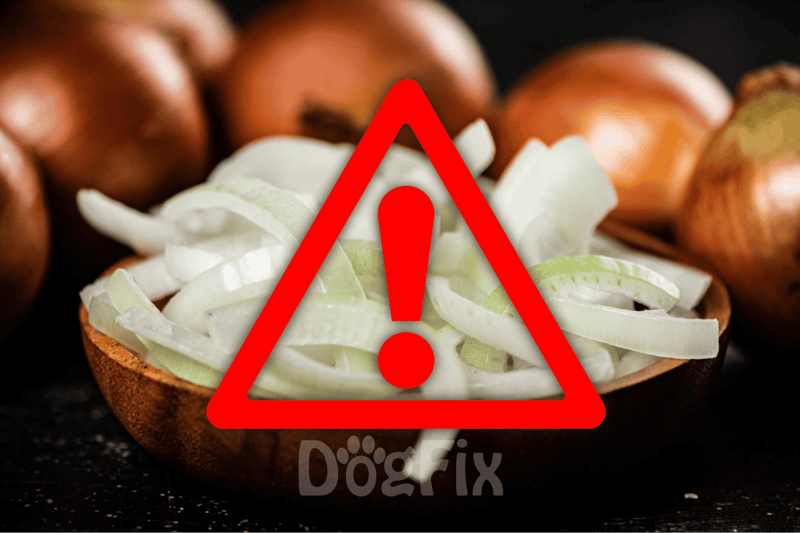 Dog safety alert: Do not feed dogs onions or onion-containing foods to prevent poisoning.