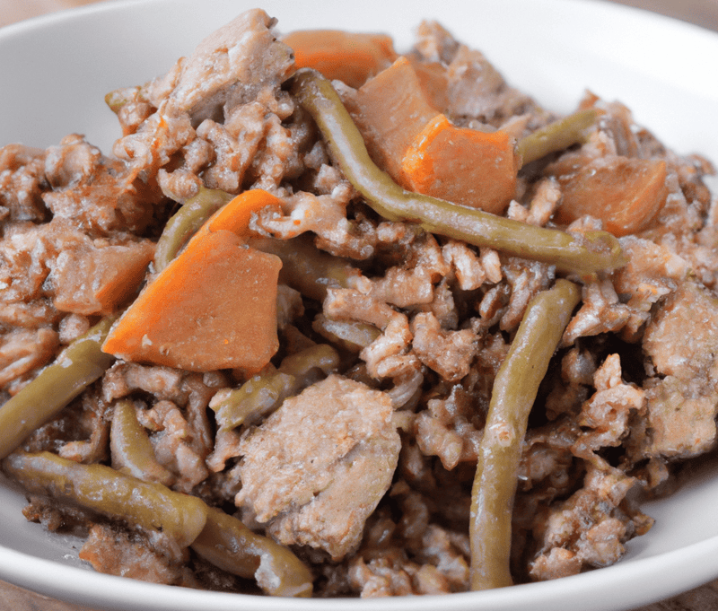Pet stew with beef, carrots, and green beans in a white dish.