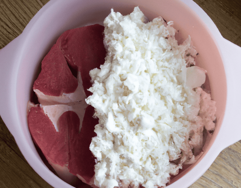 Close-up of raw meat and cottage cheese in a pet food bowl.