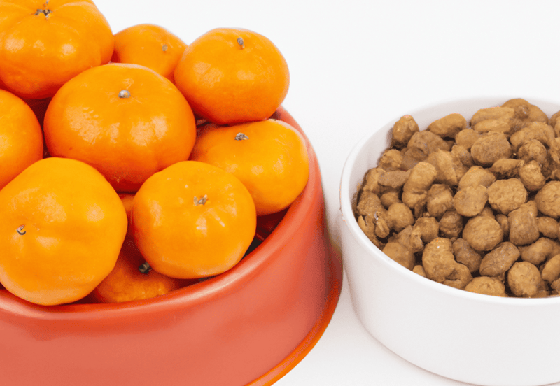 nutritional needs