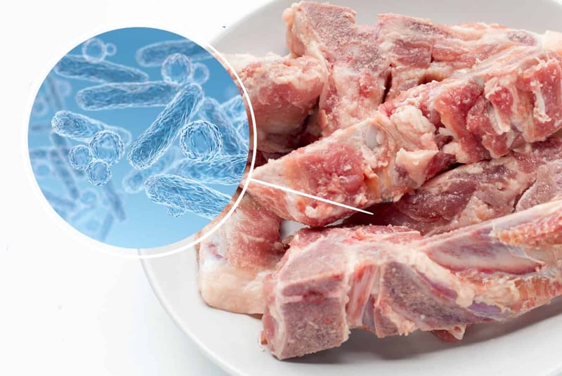 Fresh raw meat for dogs, bacterial contamination, pet nutrition safety.