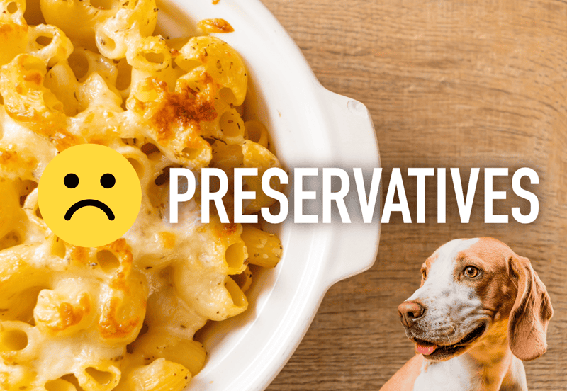 Dog looking at cheesy pasta with "Preservatives" text overlay.