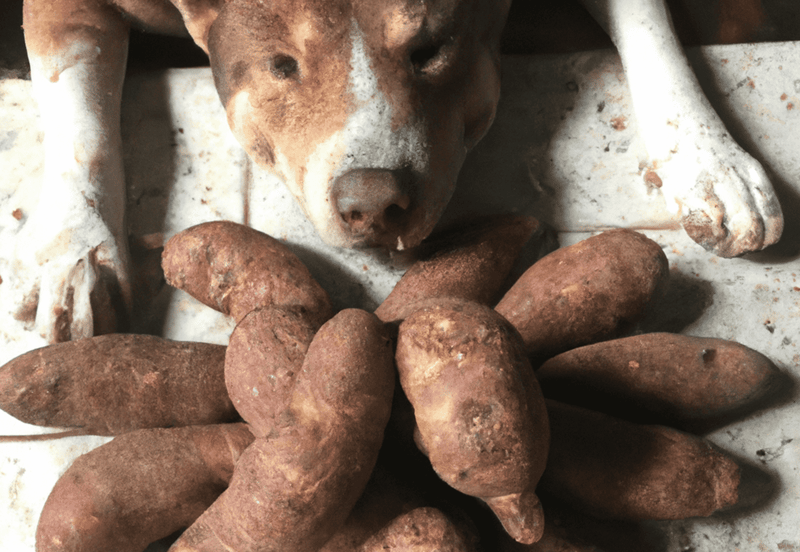 sweet potatoes