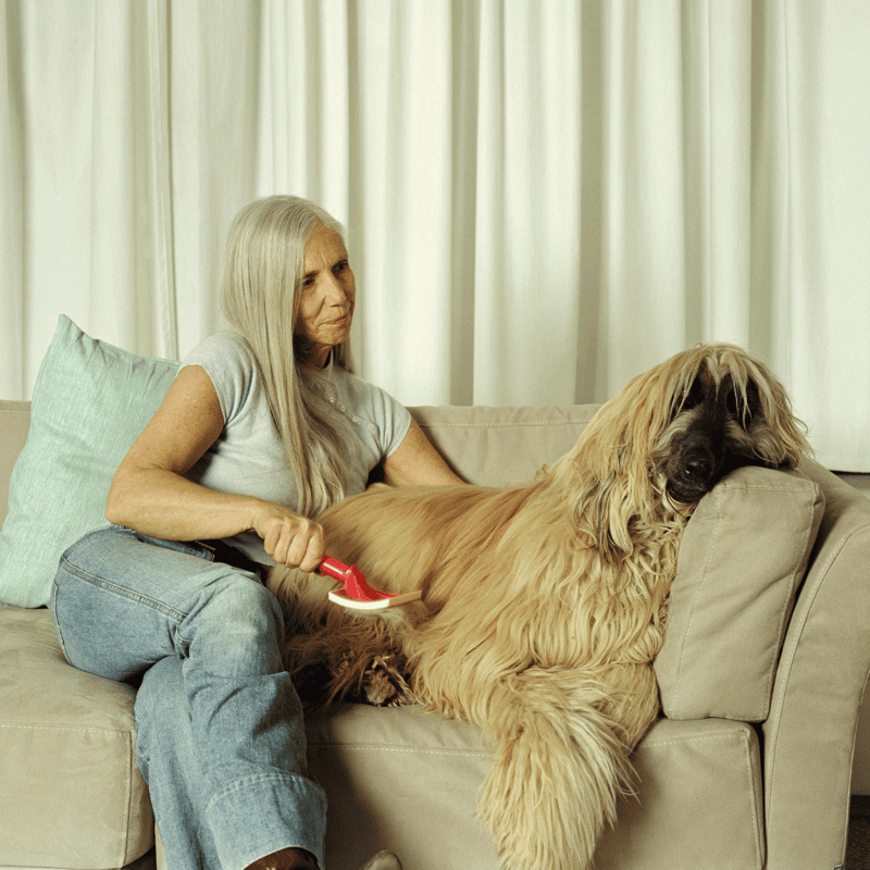 A senior woman grooming her large dog on a beige sofa, using a brush for pet care.
