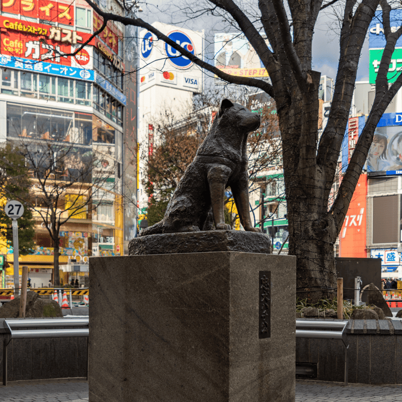 Dog statue in busy Tokyo city square with colorful signs and buildings.
