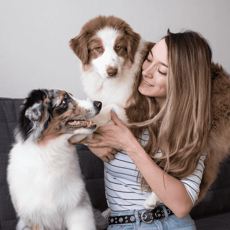 Adorable woman with two Australian Shepherd dogs, showcasing canine companionship and affection.