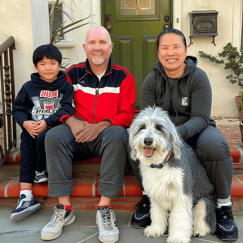 Barbado da Terceira Are These Dogs Good For Families