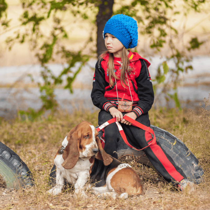 Basset Hound Are These Dogs Good For Families