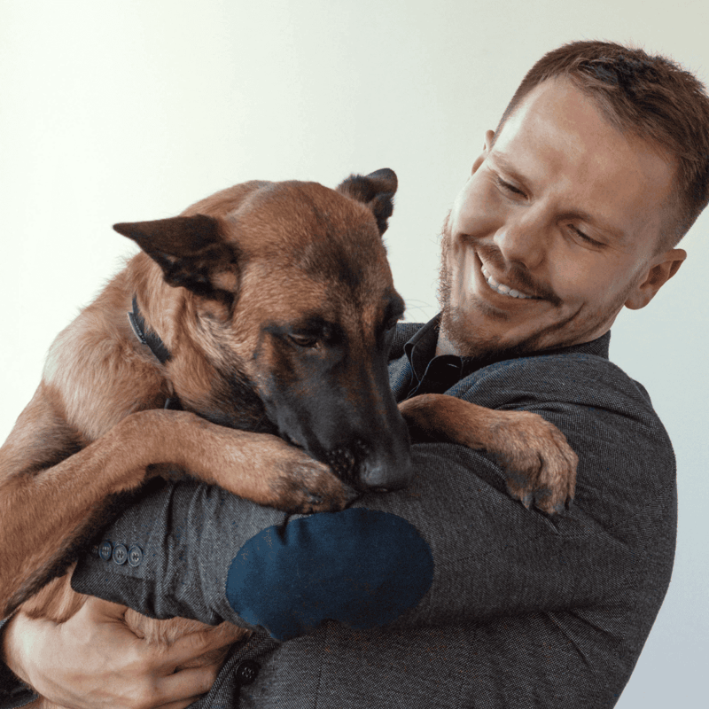 Belgian Malinois Are These Dogs Good For Families