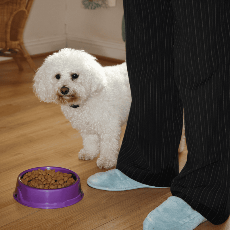 Dog food, pet meal delivery, convenient dog feeding solutions.