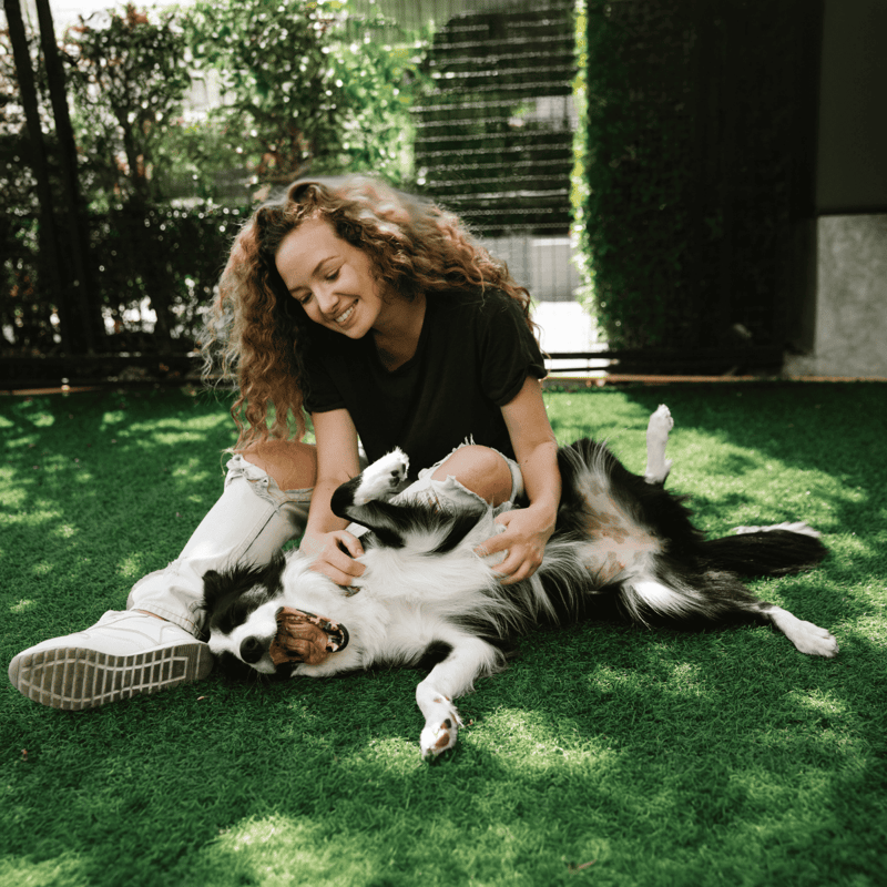 Happy woman cuddling her playful border collie dog outdoors in a lush garden setting.