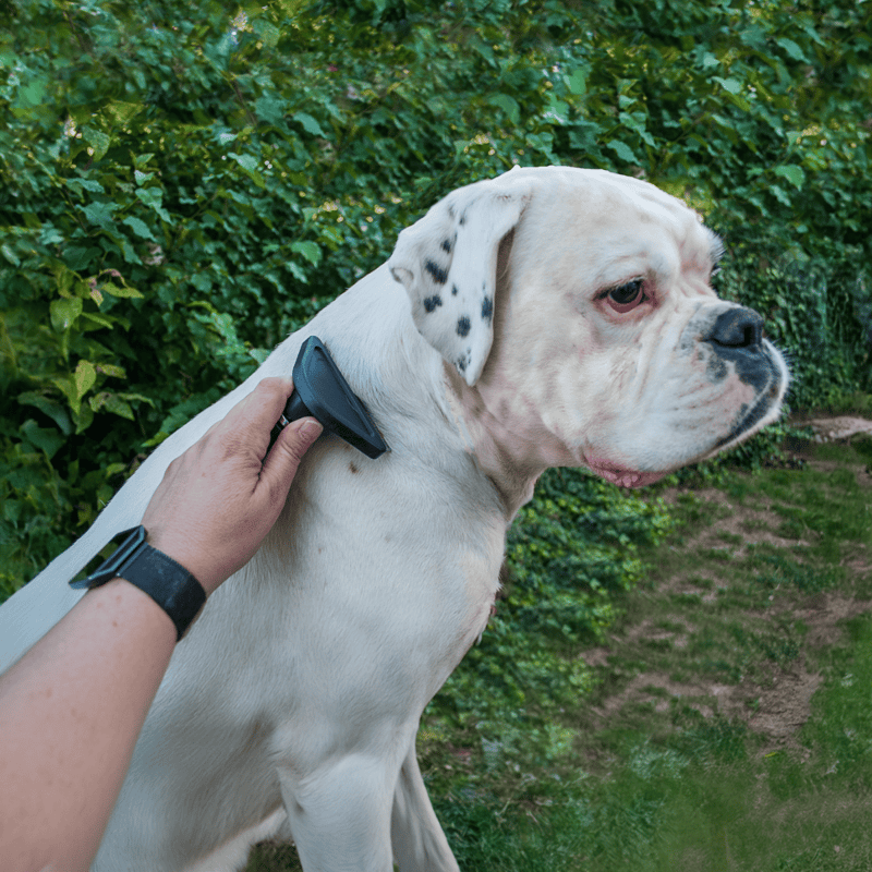 Dogfix.com dog grooming and deshedding tools for pet owners.