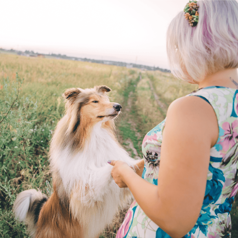 Dog and owner enjoying outdoor walk, quality time with pet.