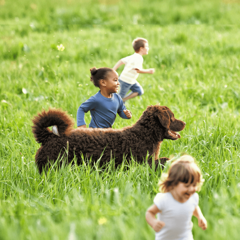 Children running with dog outdoors, active family playing in the park.