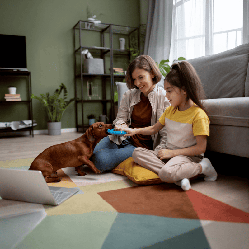 Dog friendly playtime with kids, enrich emotional bond, and promote pet happiness.