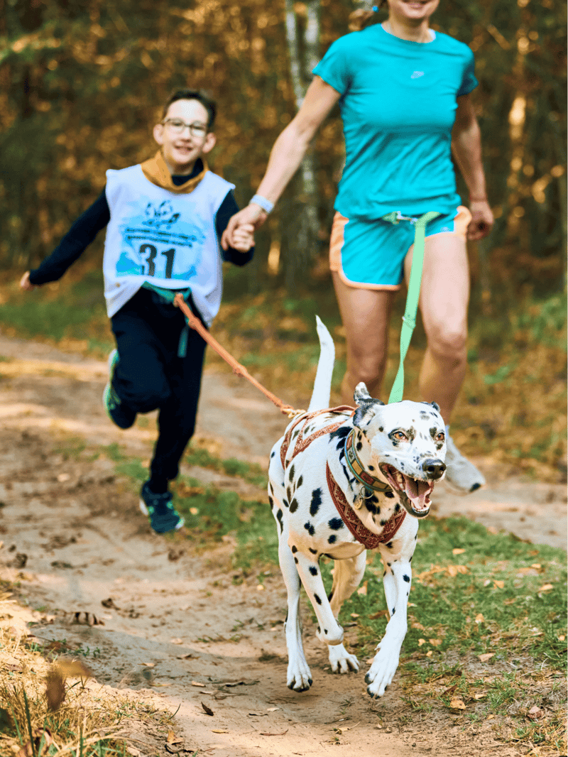 Active dog walking in nature, family fun with a Dalmatian.