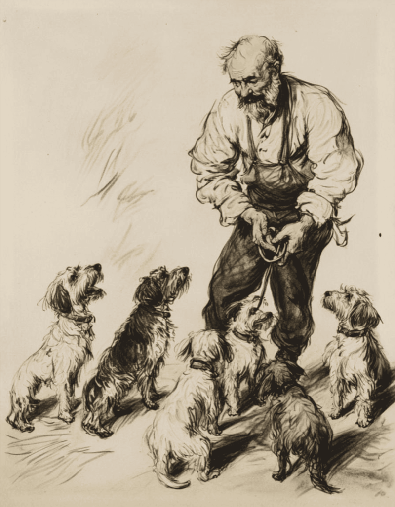 Dog training with tough labradors and an instructor.