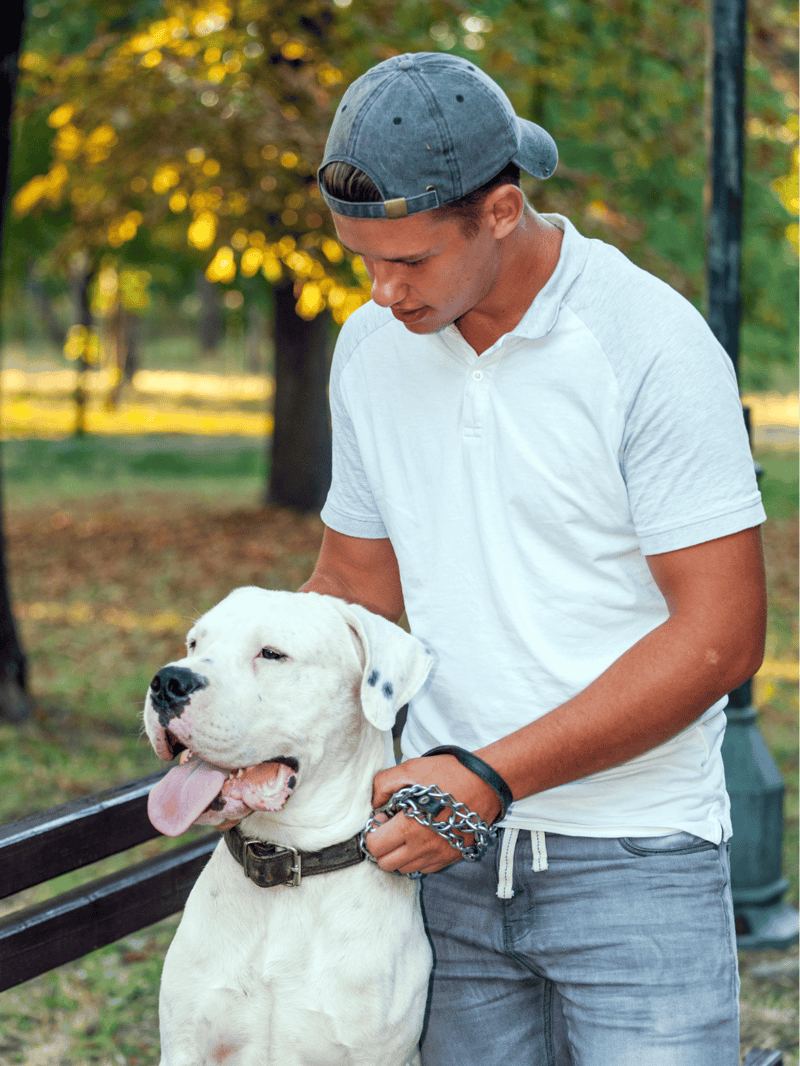 Dog care and training tips for pet owners.