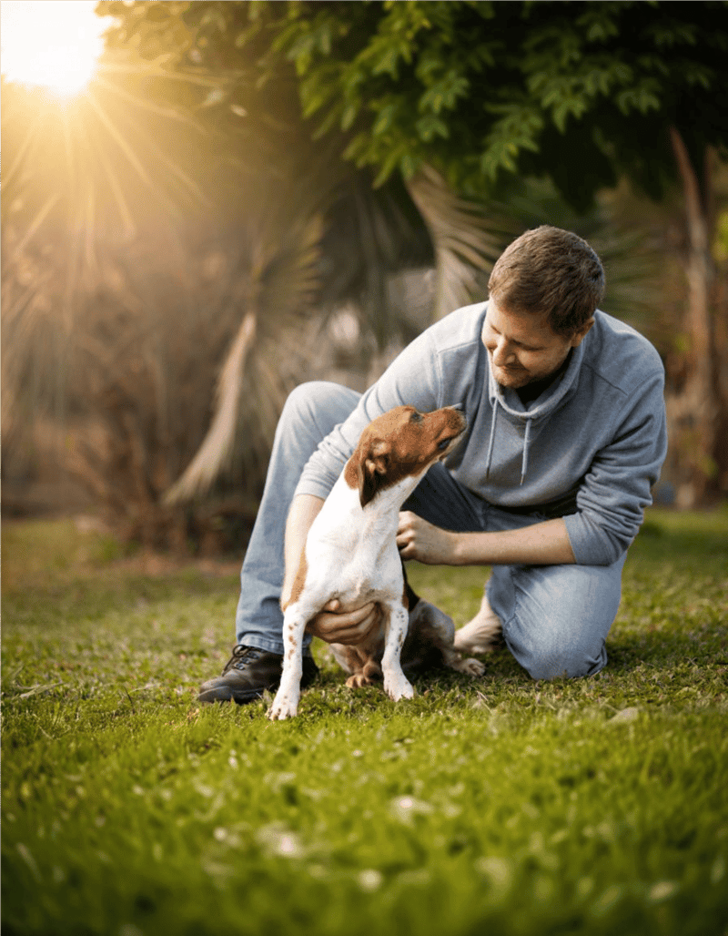 Friendly dog and owner bonding in a park during golden hour.