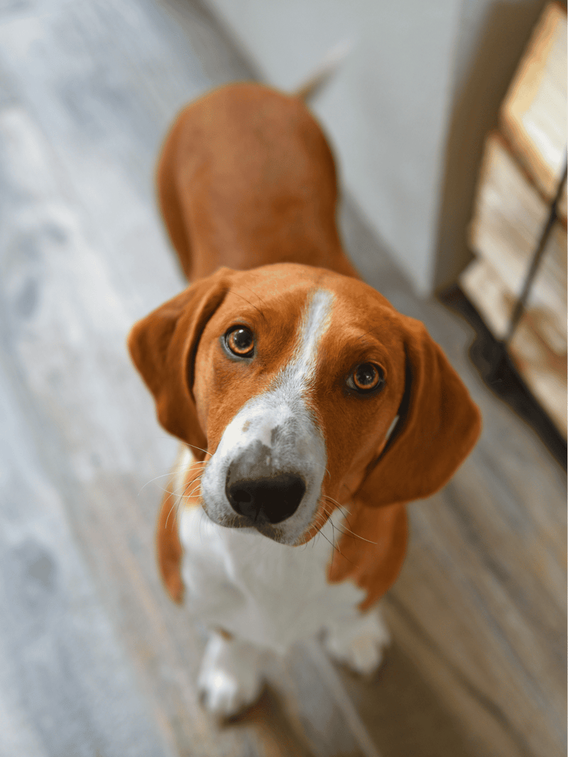 Drever characteristics