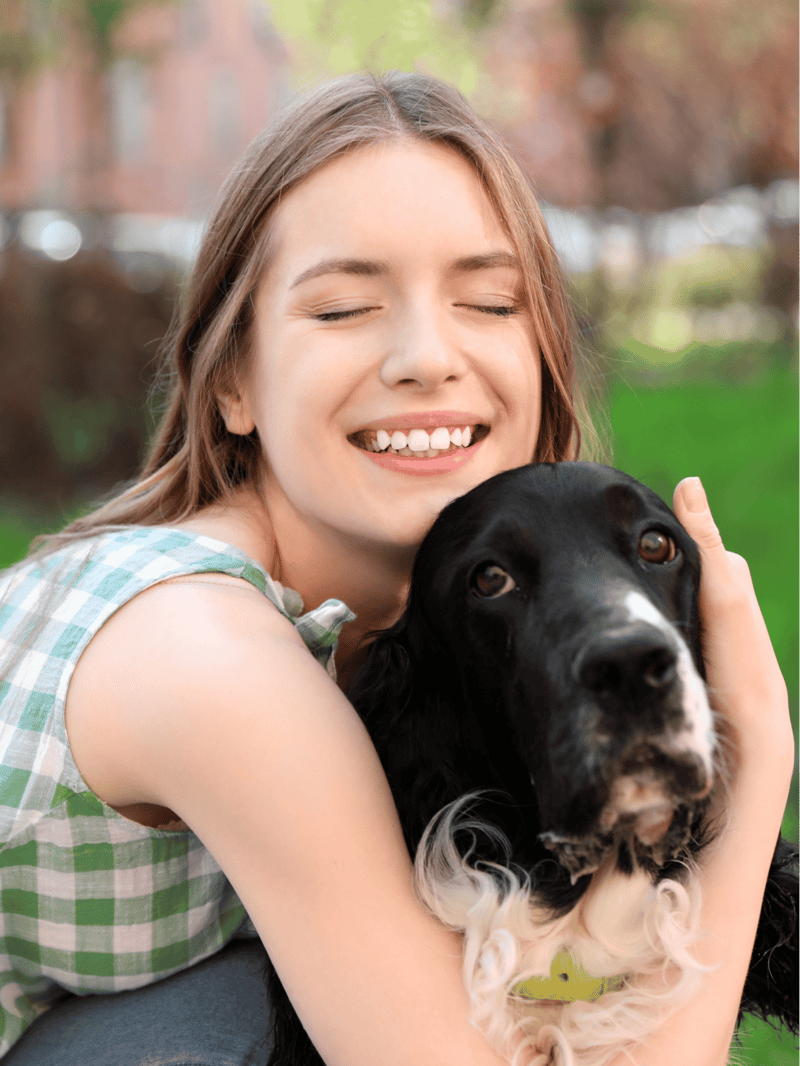 English Springer Spaniel Are These Dogs Good For Families
