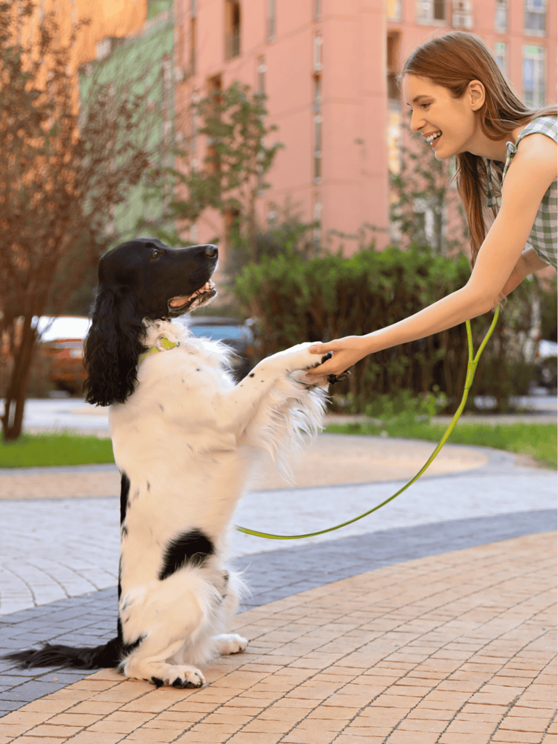 Happy woman with her dog playing on a city sidewalk.