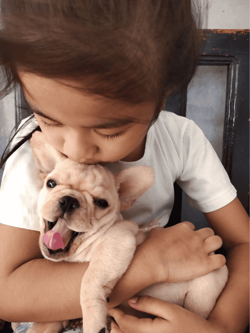 Adorable puppy with a child, showcasing bond and care. Perfect for pet companionship and dog adoption content.