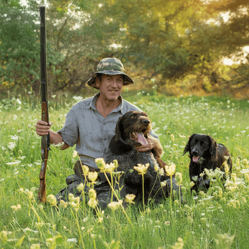 Hunters mostly owned Deutscher Wachtelhunds