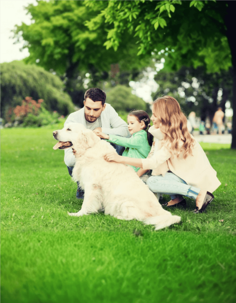 Happy family with a golden retriever dog in a park during daytime.