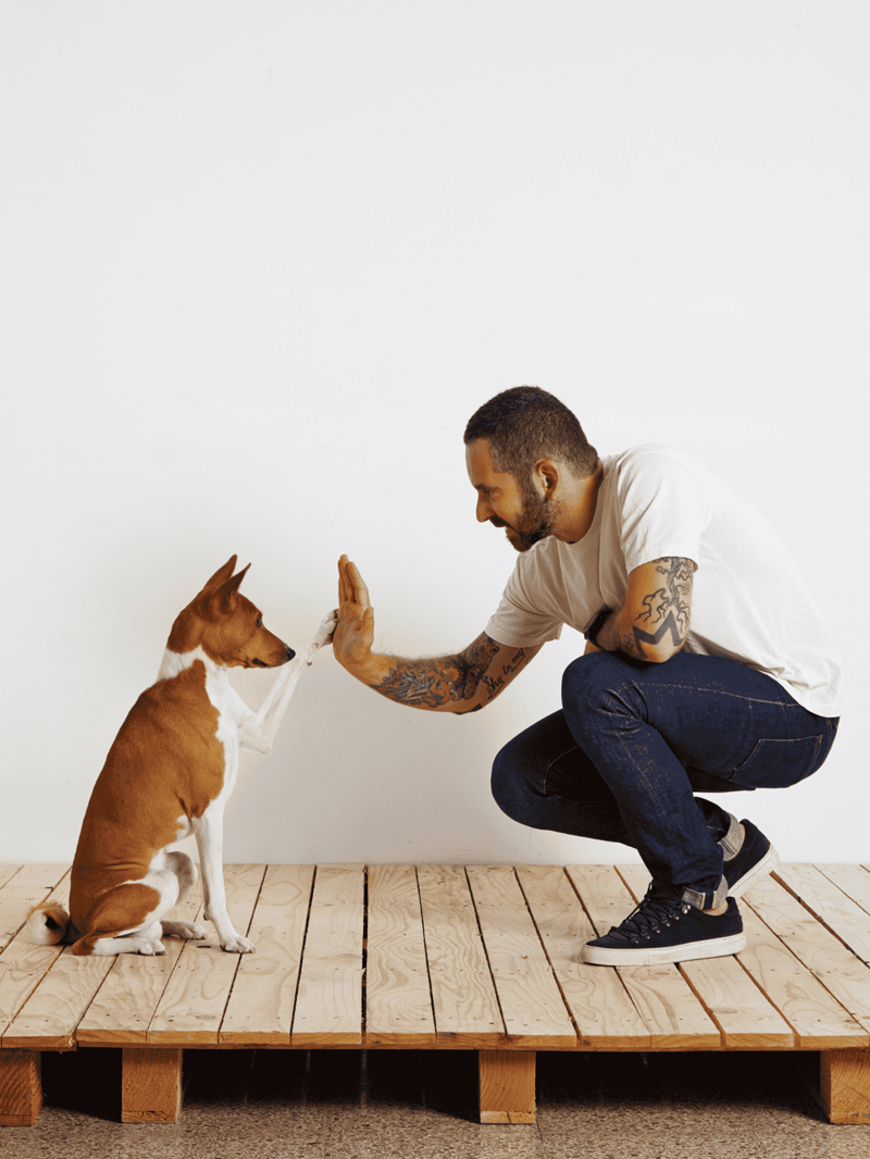 Happy dog and trainer engaging in high-five training session indoors.