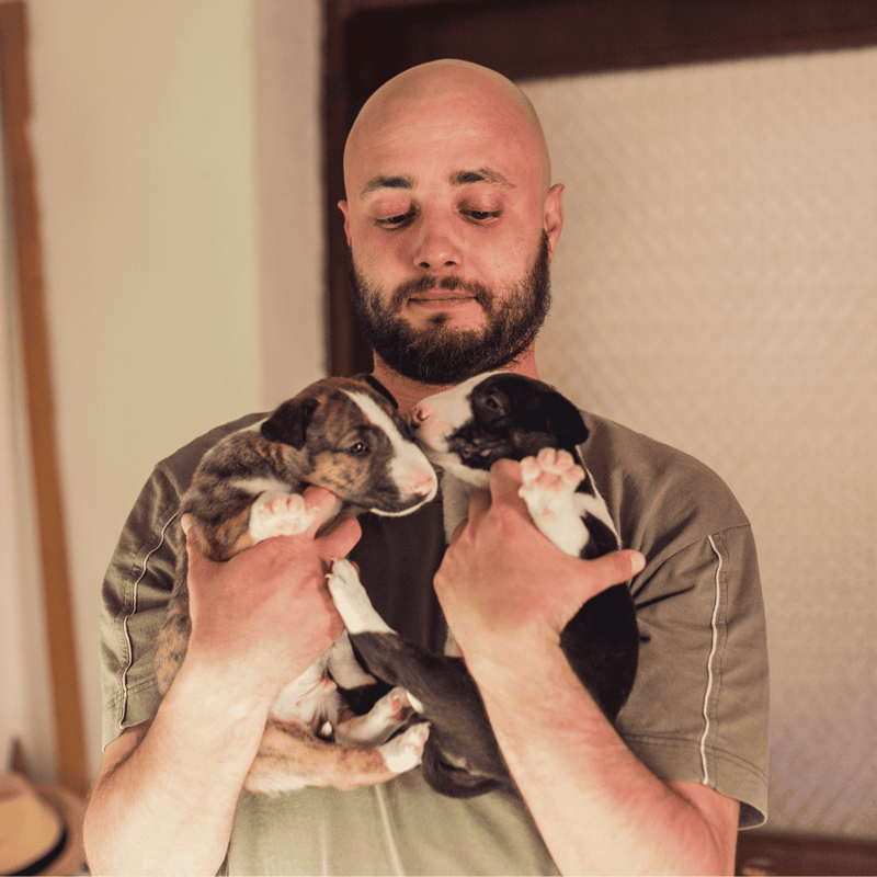 Happy man holding two playful puppies, young dog lovers bonding, indoor pet care.