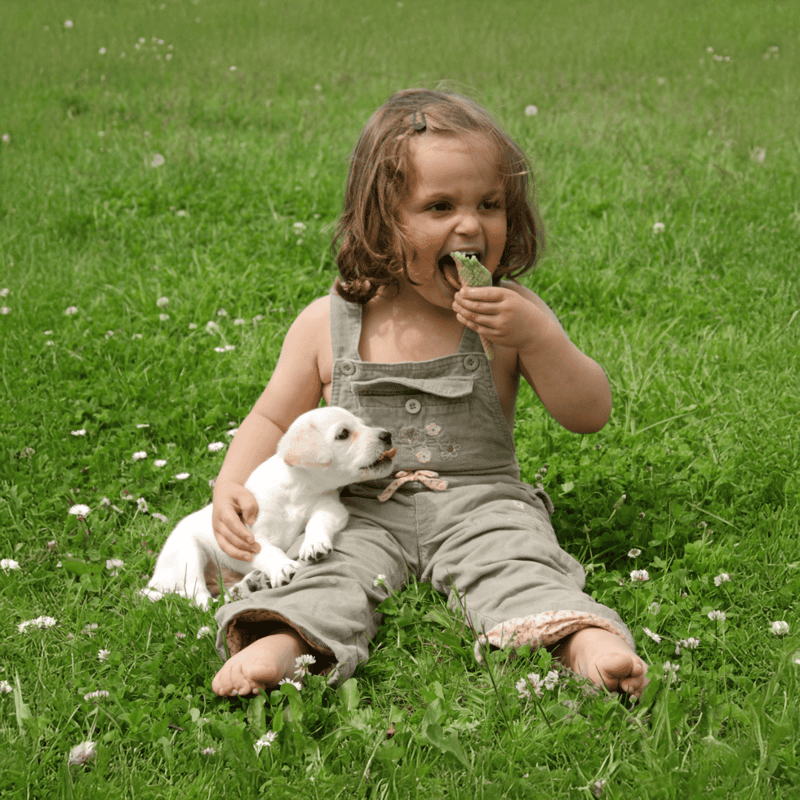 Girl with puppy eating outdoors, dog-friendly activities for kids and pets.