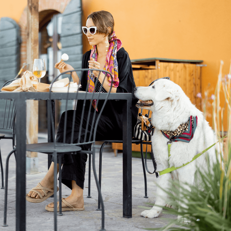Dog-friendly outdoor dining with a large, well-groomed retriever and owner enjoying a relaxing moment.