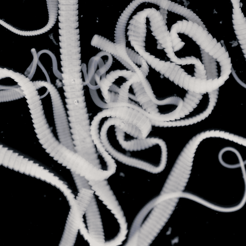 Close-up of white plastic zip ties tangled together on a black surface for recycling or disposal.