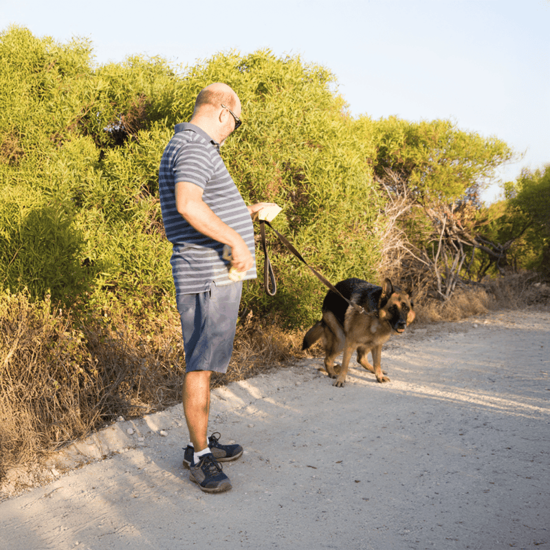 Dog walking on nature trail with owner, outdoor pet exercise, healthy dog activity.