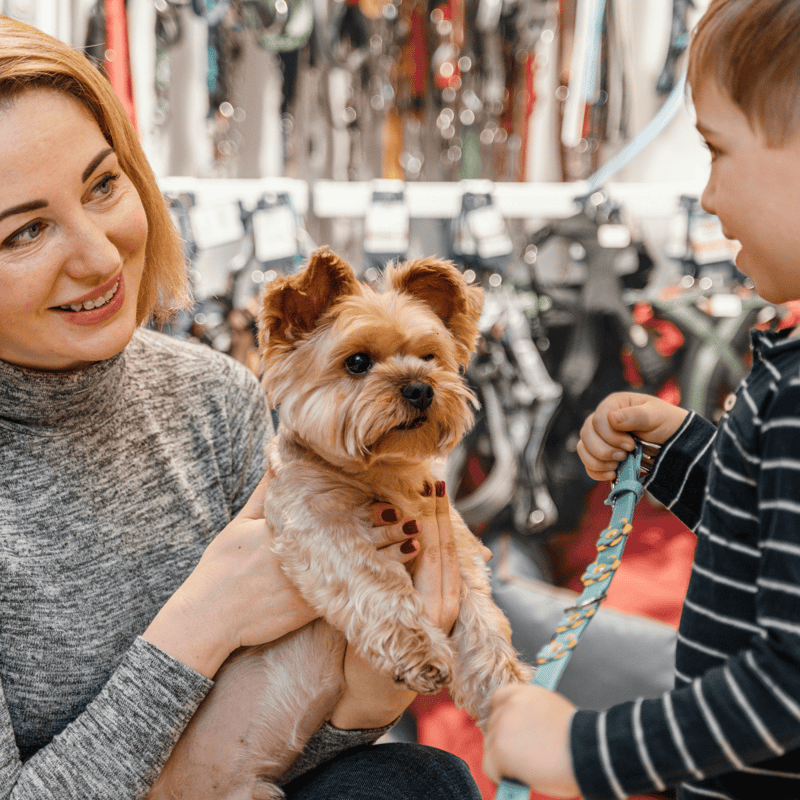 Friendly woman holding small dog in pet store or park, engaging child with leash, joyful moments with pets.