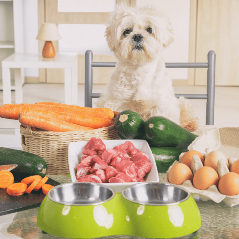 Dog-friendly fresh vegetables and meat for healthy pet meals.