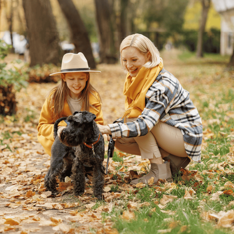Adorable dog with owner and girl in fall park. Dog health, care, and training. Dogfix.com trusted pet services.