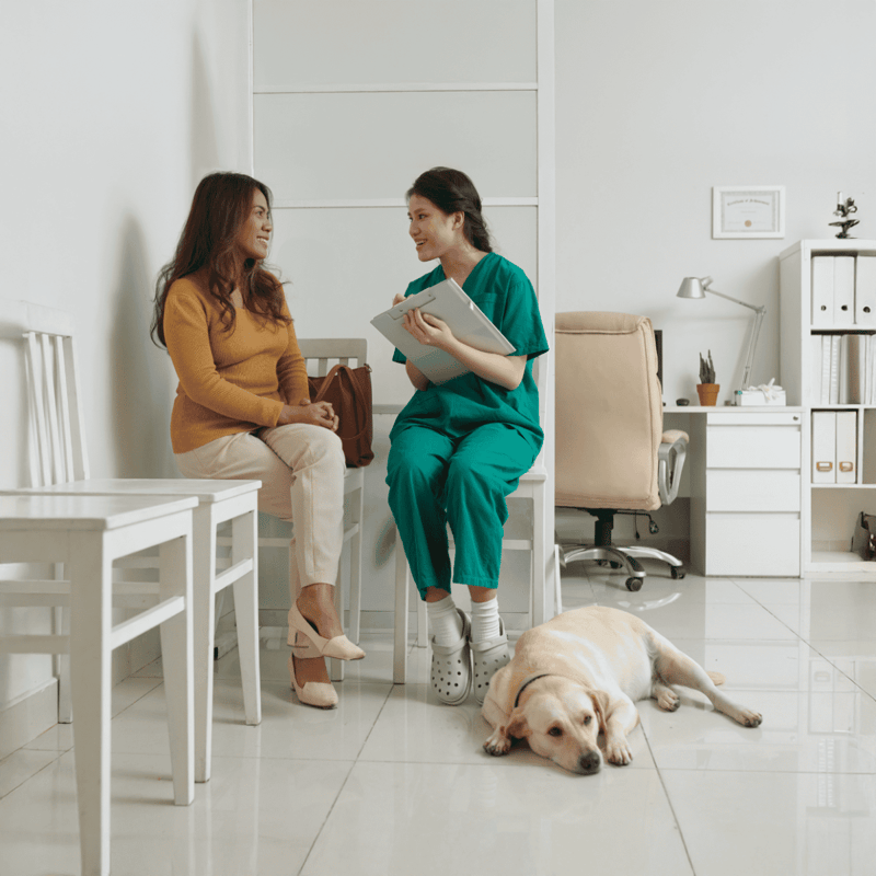Veterinarian and pet owner discussing care plans in veterinary clinic with friendly atmosphere.
