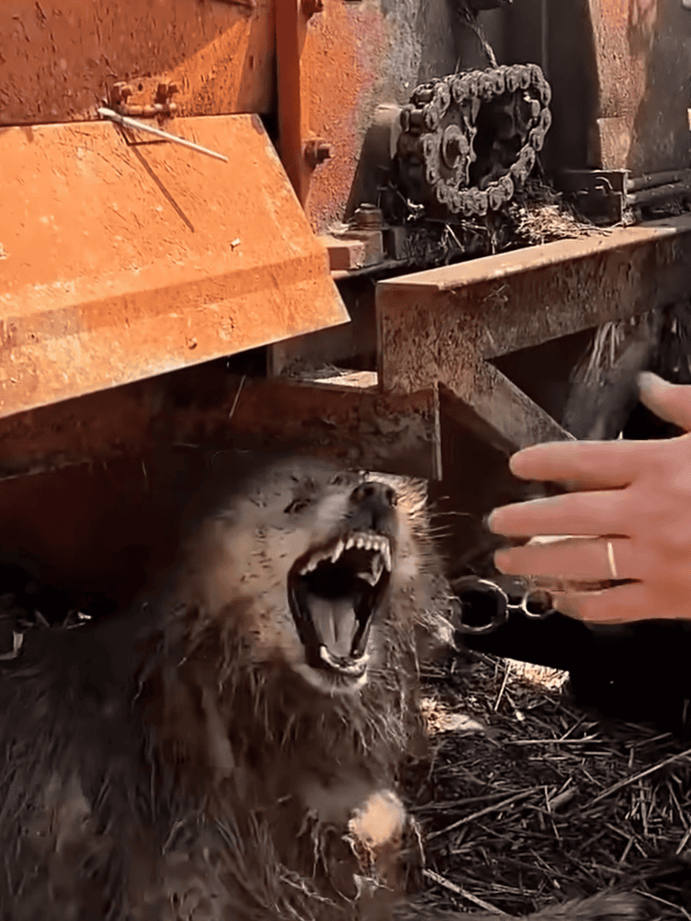 Rugged metal machinery with rust and chains.